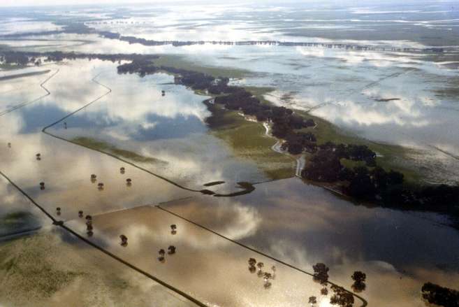 Billabong Creek - 1974 flood